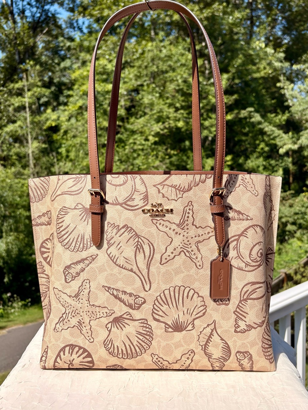 COACH Large Mollie Tote Bag In Signature Canvas With Shell Print CBH64